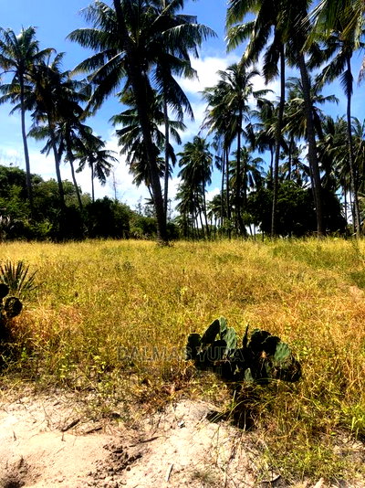 1 Acre Prime Land - Image 5