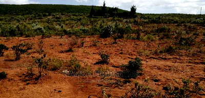 1/8 Plots for Sale in Gilgil, Nakuru County - Image 2