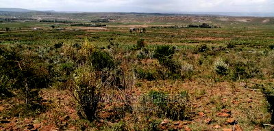 1/8 Plots for Sale in Gilgil, Nakuru County - Image 1