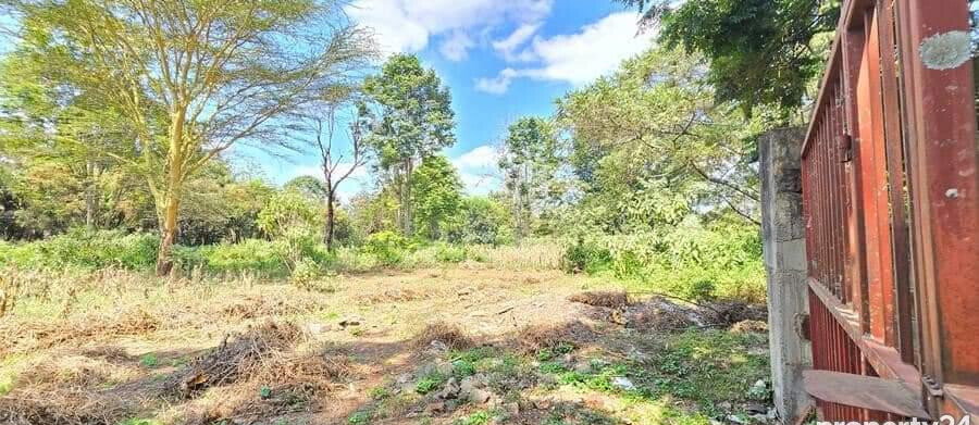2-Acre Spring Valley Plot for KSh 410M