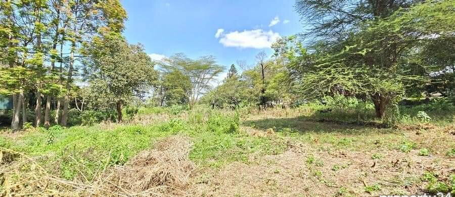 2-Acre Spring Valley Plot for KSh 410M