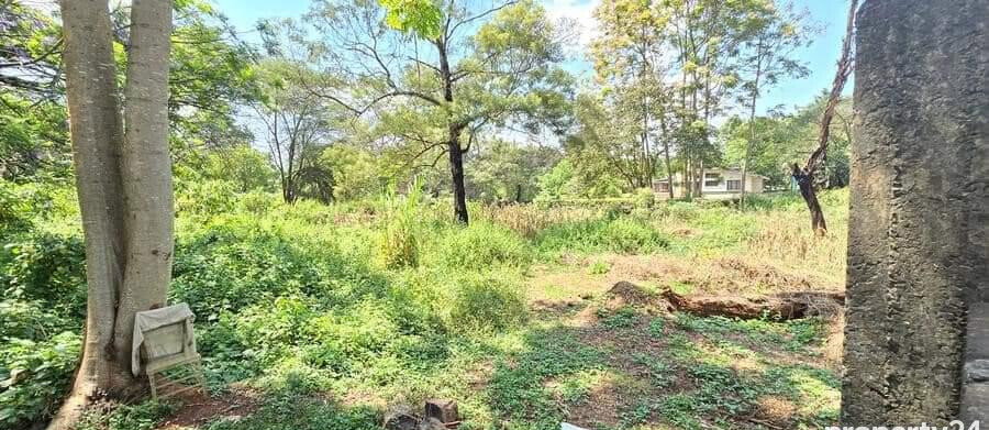 2-Acre Spring Valley Plot for KSh 410M