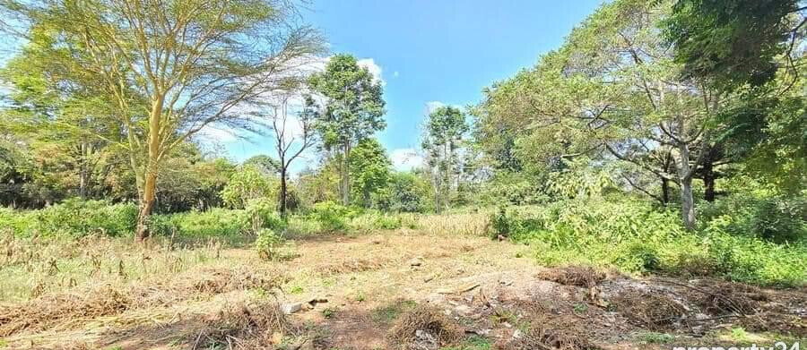 2-Acre Spring Valley Plot for KSh 410M