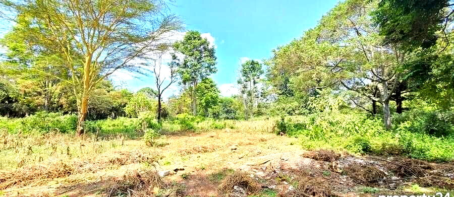 2-Acre Spring Valley Plot for KSh 410M