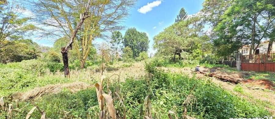 2-Acre Spring Valley Plot for KSh 410M