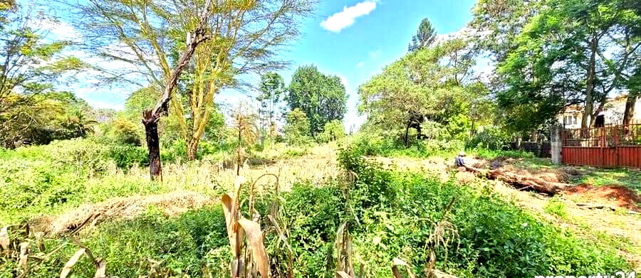2-Acre Spring Valley Plot for KSh 410M