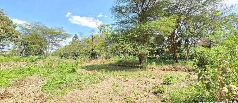 2-Acre Spring Valley Plot for KSh 410M