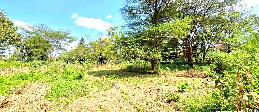 2-Acre Spring Valley Plot for KSh 410M