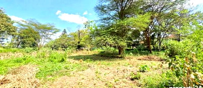 2-Acre Spring Valley Plot for KSh 410M