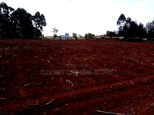 1/2 Acre Kaplelach With Mother Tittle of 5 Acres