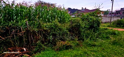 1/4 Plot for Sale in Hillside Eldoret - Image 3