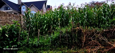 1/4 Plot for Sale in Hillside Eldoret - Image 2