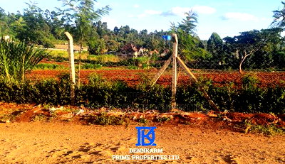 Quick Sale -Commercial/Residential Plots in Kikuyu, Ondiri! - Image 9