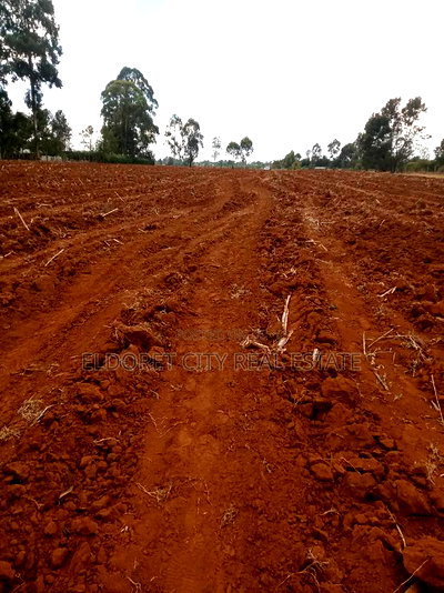 5 Acres Merewet With Title Less Than 1.5km From Tarmac - Image 2