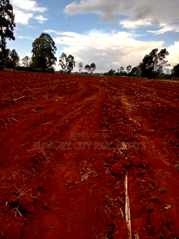 5 Acres Merewet With Title Less Than 1.5km From Tarmac