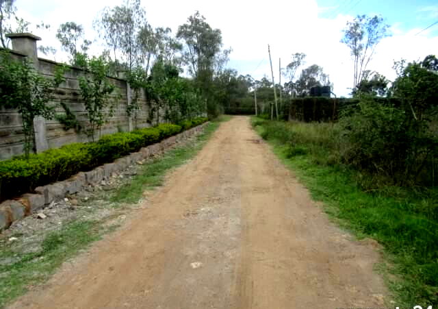 KSh 40M Karen Plot