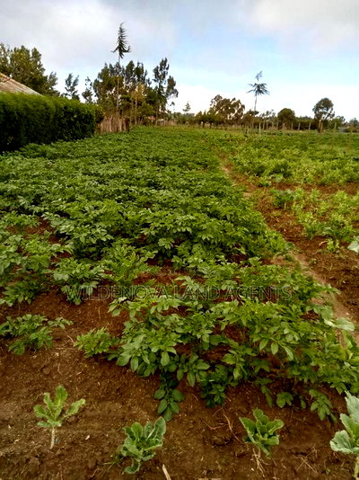 50*100 Plots on Sale at Magumu Kinangop - Image 3