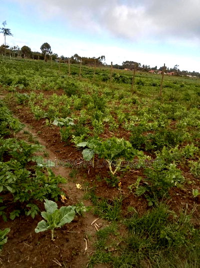 50*100 Plots on Sale at Magumu Kinangop - Image 2