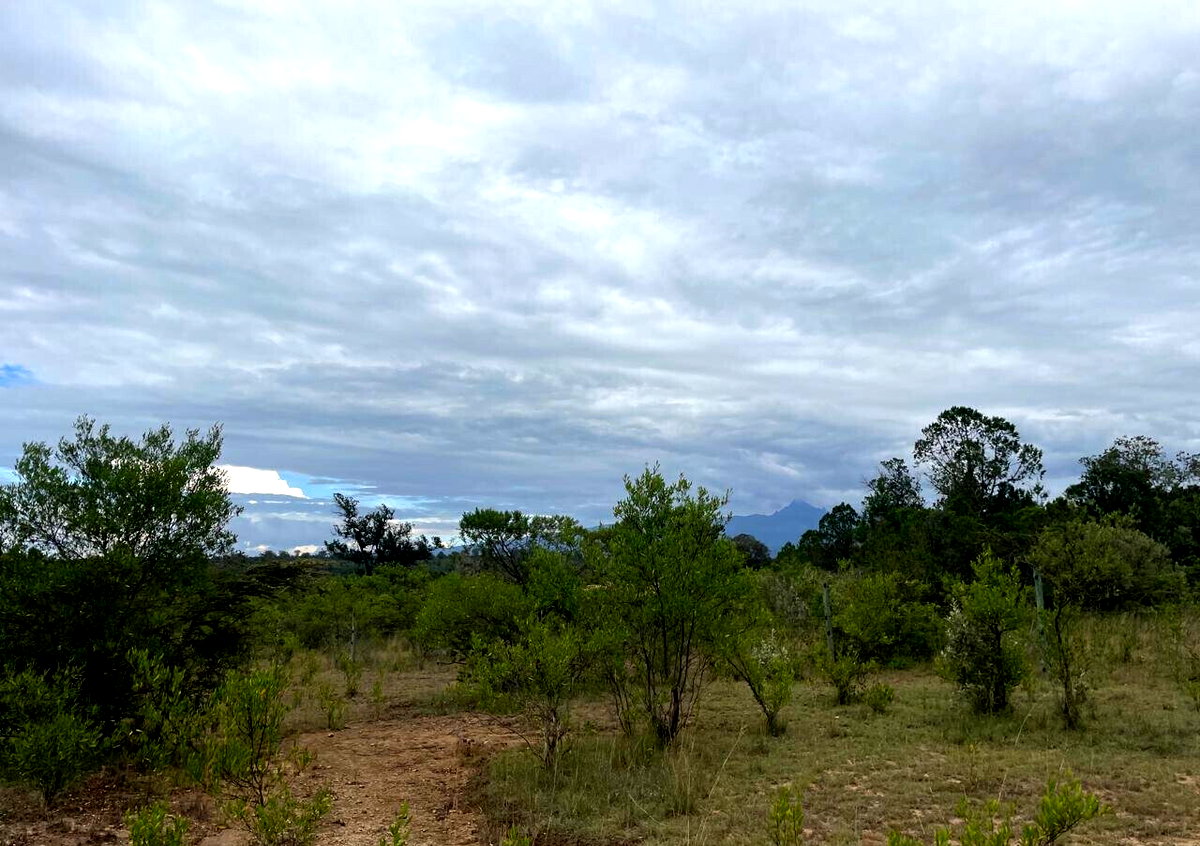 4-Acre Garden Land with Parking