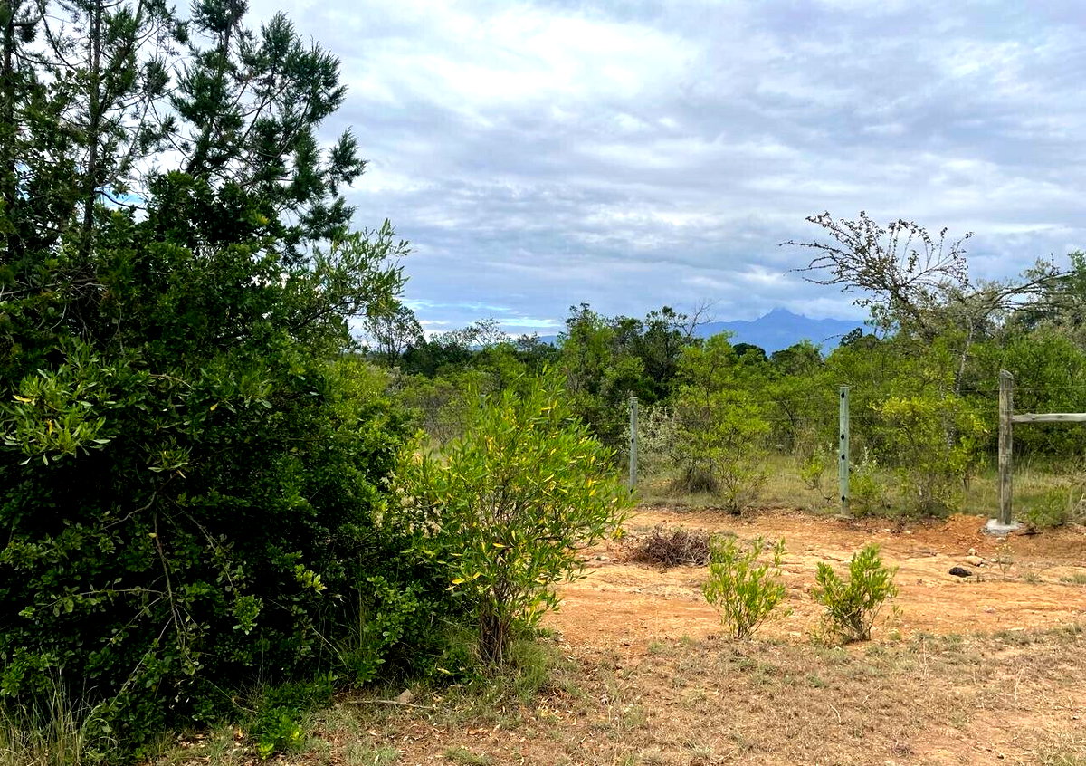 4-Acre Garden Land with Parking