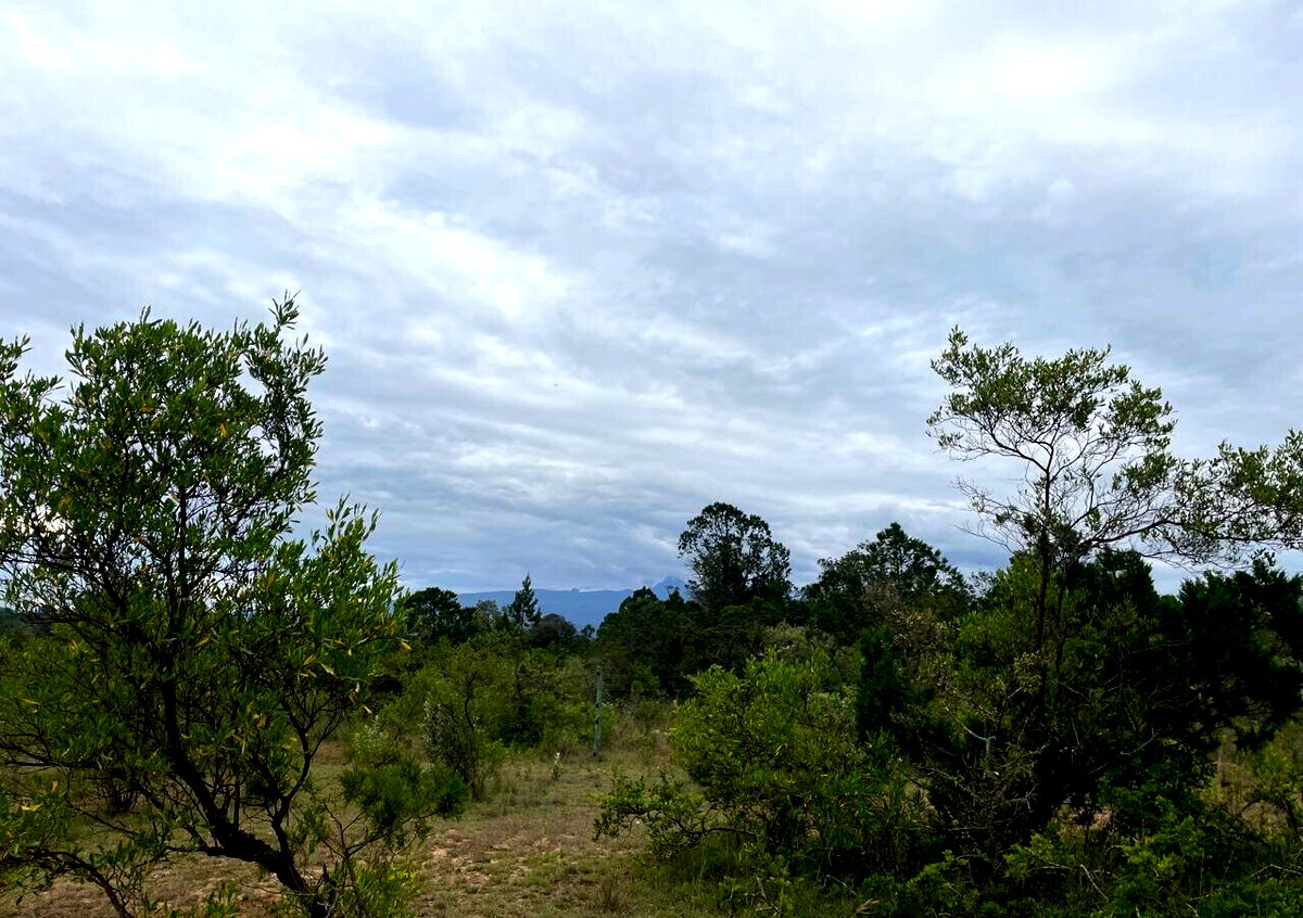 4-Acre Garden Land with Parking