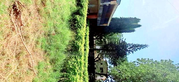 For Sale Half Acre Land Nyali