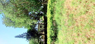For Sale Half Acre Land Nyali - Image 6