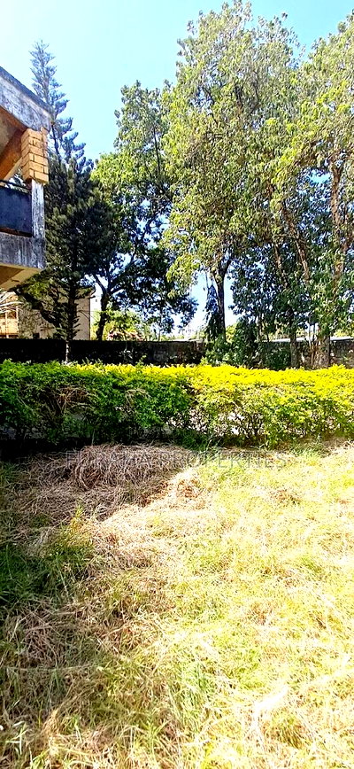 For Sale Half Acre Land Nyali - Image 3