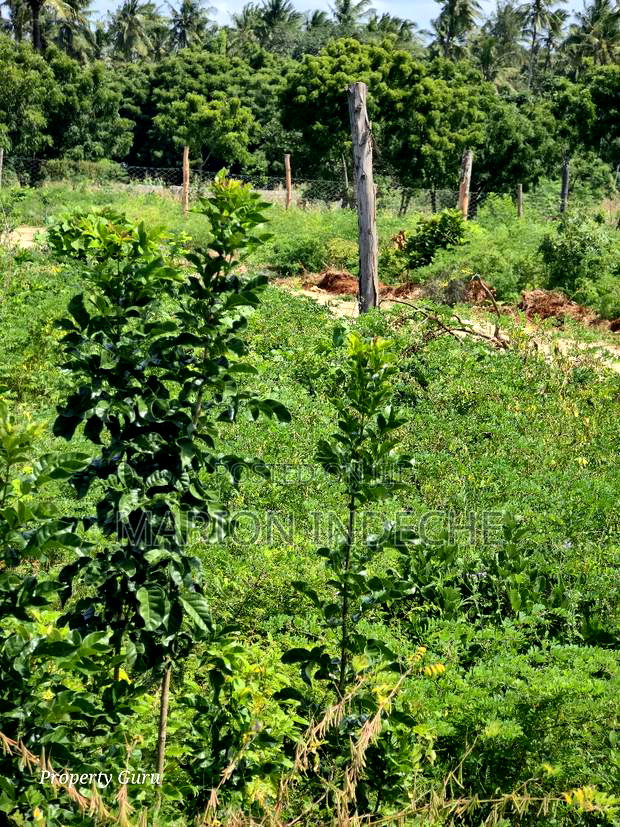 Prime 50by100ft Plots for Sale in ,000