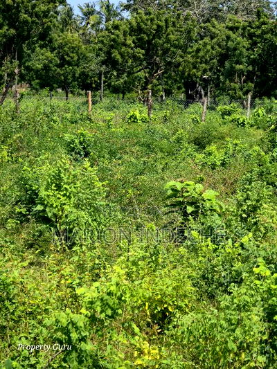 Prime 50by100ft Plots for Sale in ,000 - Image 3