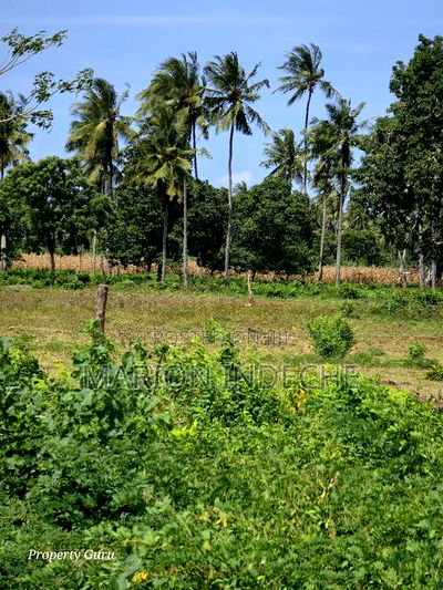 Prime 50by100ft Plots for Sale in ,000 - Image 5