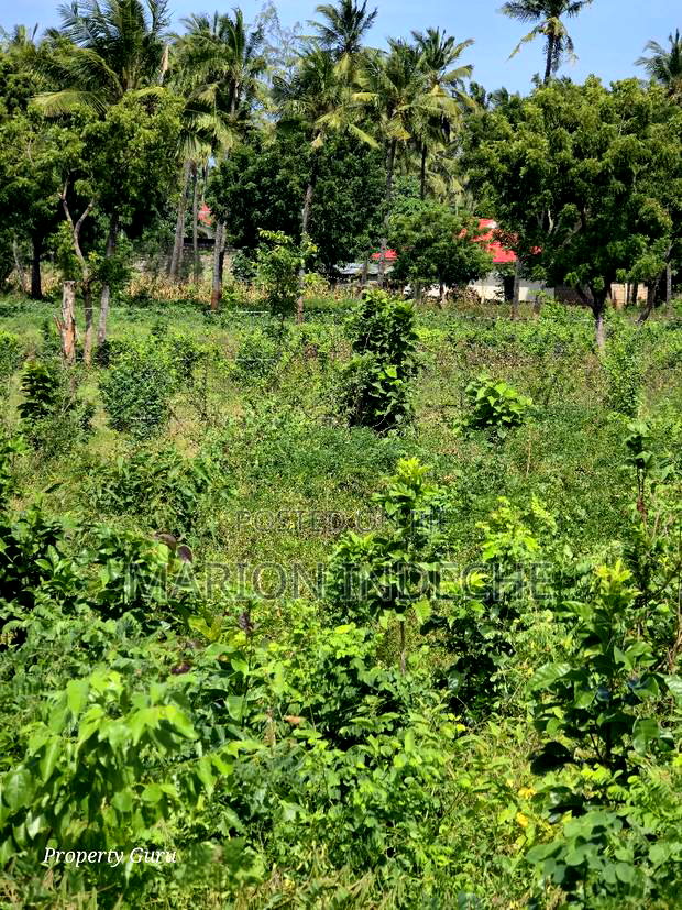 Prime 50by100ft Plots for Sale in ,000