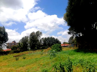 100x100 Ft Plot for Sale in Sigona Zambezi - Image 5