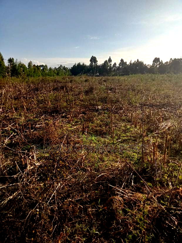 10 Acres of Land Outspan With Title.
