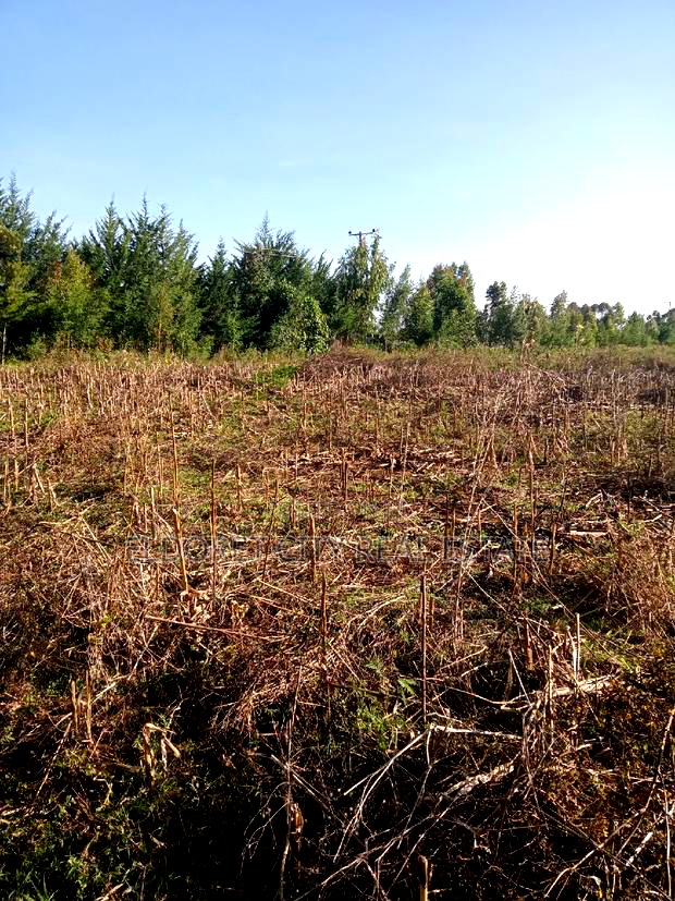 10 Acres of Land Outspan With Title.