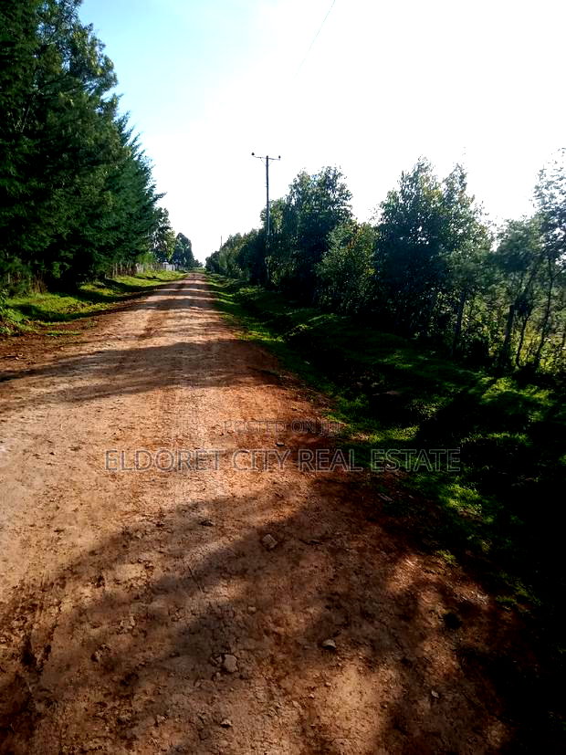 10 Acres of Land Outspan With Title.