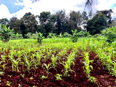 2 Acres for Sale in Njambini With a House - Image 1