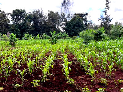 2 Acres for Sale in Njambini With a House - Image 2