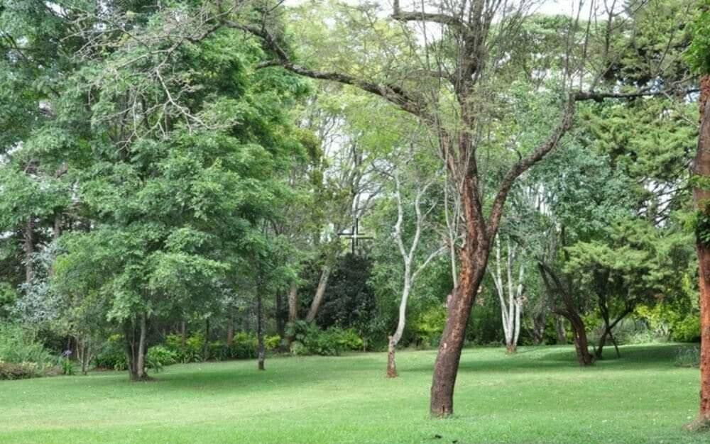 Rustic 5BR Home on 0.75-Acre Garden – Karen