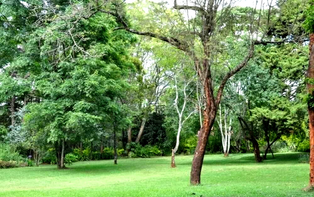 Rustic 5BR Home on 0.75-Acre Garden – Karen