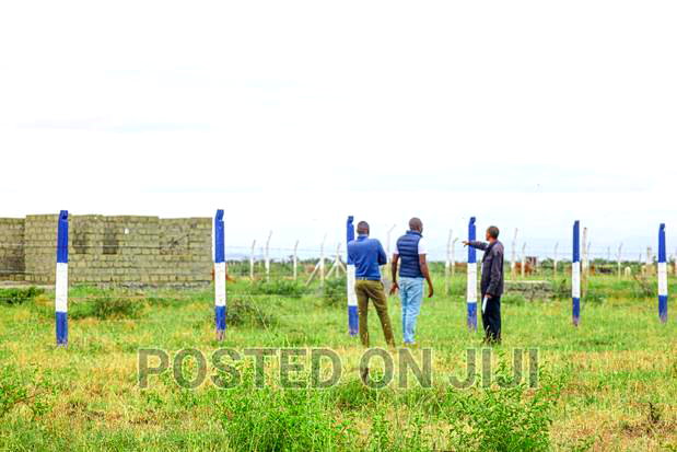 Everest Court. Peak Residential Living
