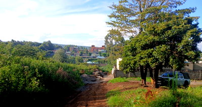 Quarter Acre in Ole Polos