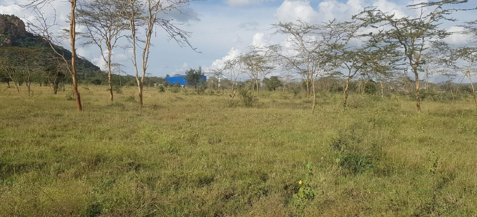 8-Acre Garden Land with Parking - Lukenya