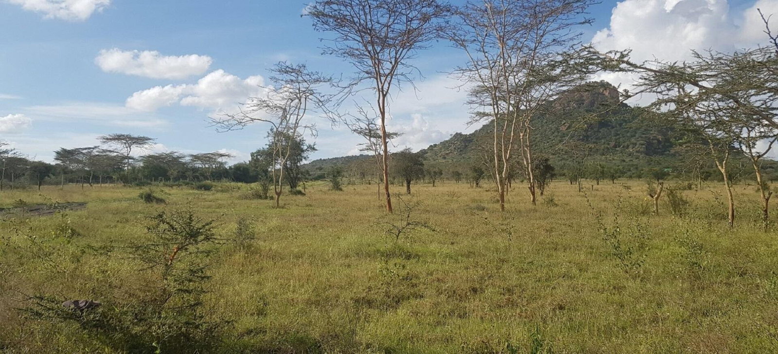 8-Acre Garden Land with Parking - Lukenya