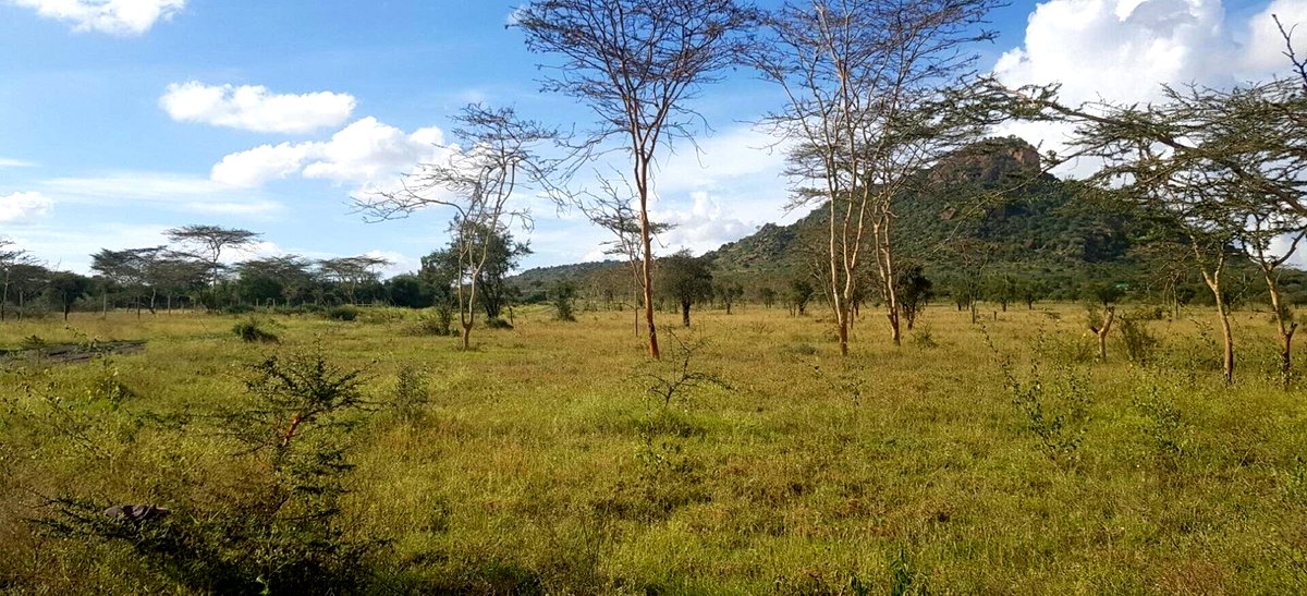 8-Acre Garden Land with Parking - Lukenya