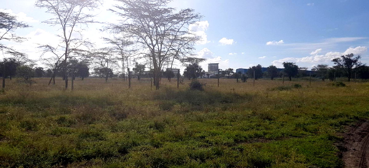 8-Acre Garden Land with Parking - Lukenya