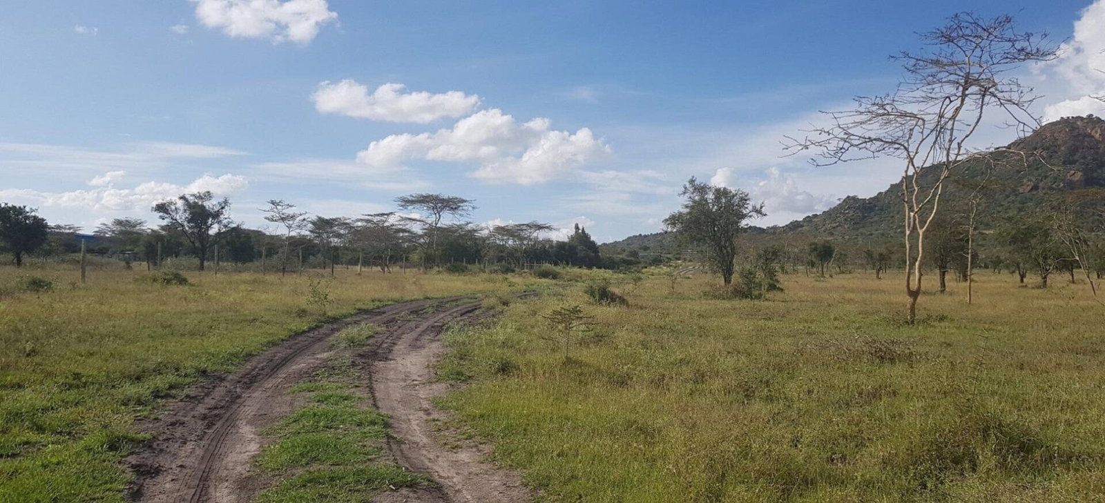 8-Acre Garden Land with Parking - Lukenya