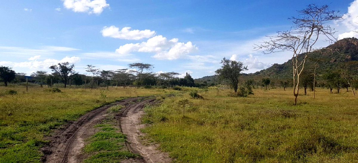 8-Acre Garden Land with Parking - Lukenya