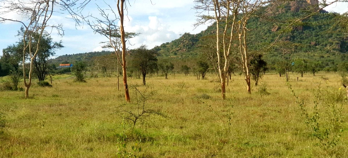 8-Acre Garden Land with Parking - Lukenya