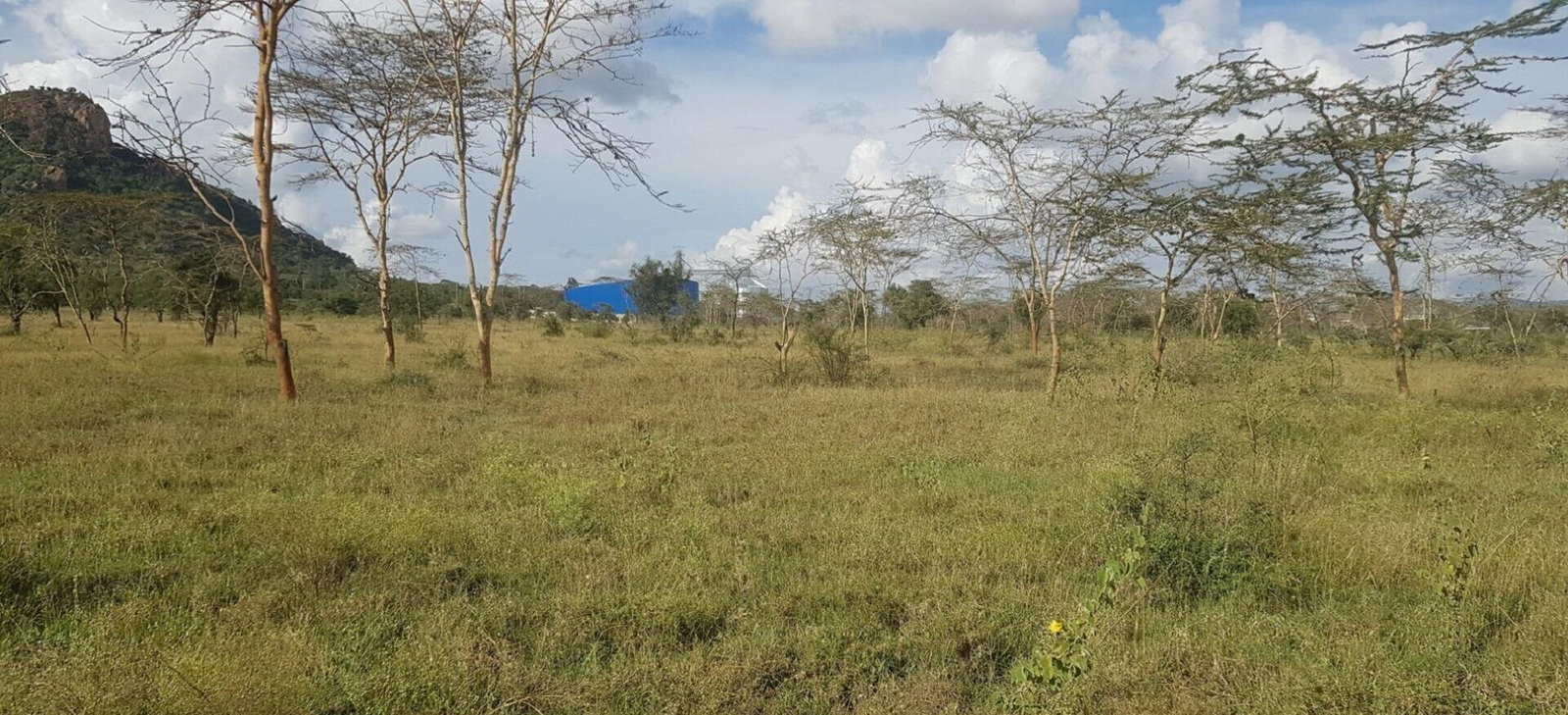 8-Acre Garden Land with Parking - Lukenya